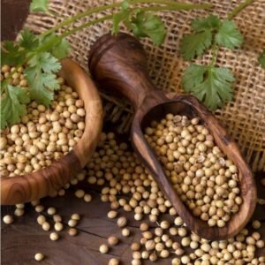 Coriander Powder